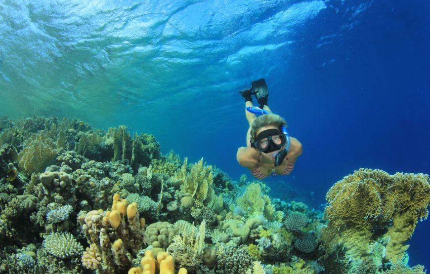 Marsa Mubarak- Shuna Bay From Hurghada