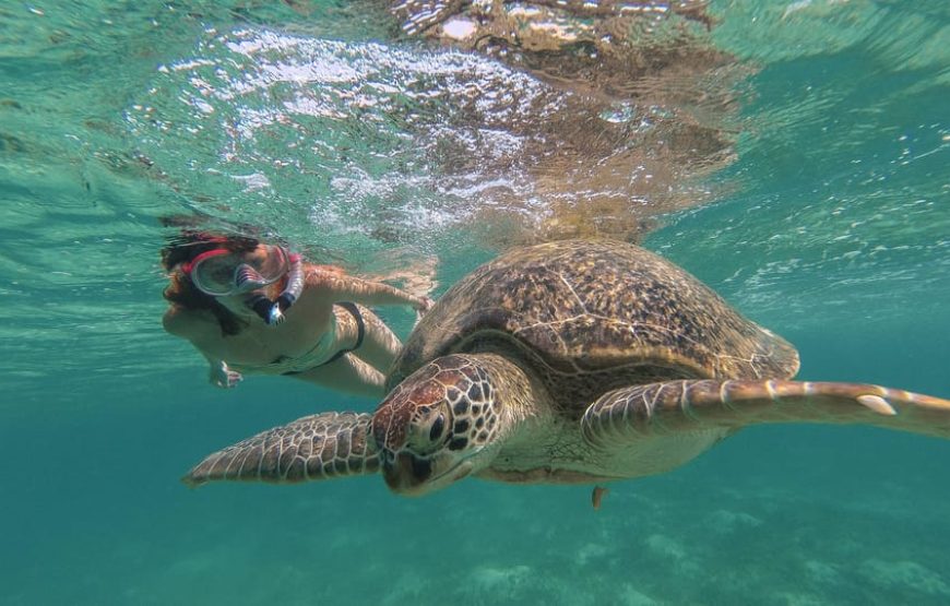 Marsa Mubarak- Shuna Bay From Hurghada