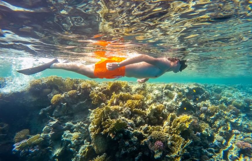 Marsa Mubarak- Shuna Bay From Hurghada