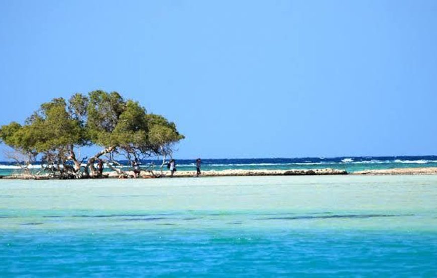 Sharm El Louli & Qullan Island From Hurghada