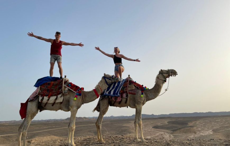 Camel & horse riding