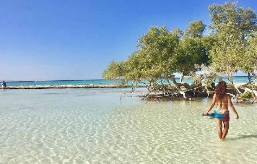 Sharm El Louli & Qullan Island From Hurghada