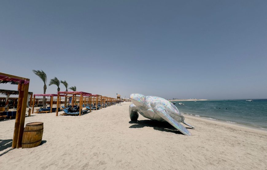 Abu Dabbab Beach From Hurghada