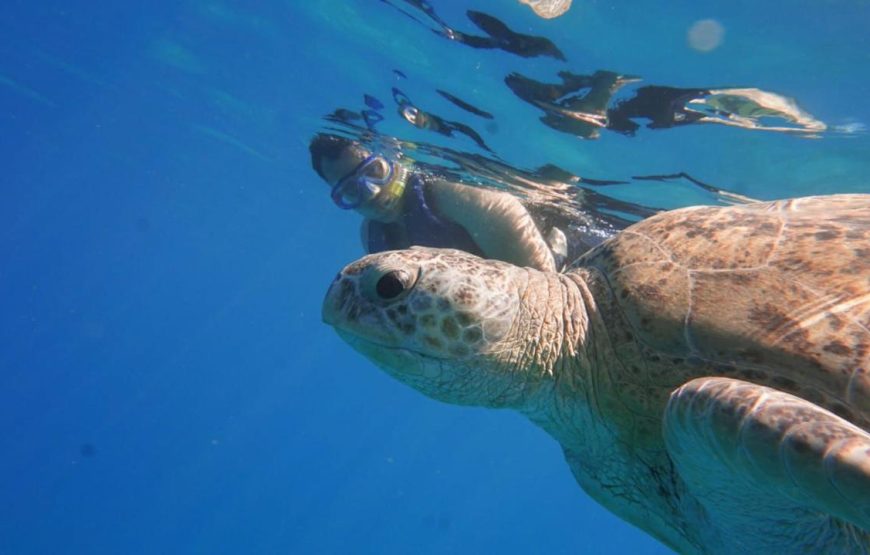 Marsa Mubarak- Shuna Bay From Hurghada