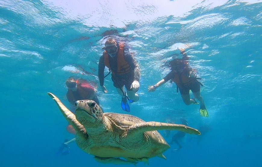 Marsa Mubarak- Shuna Bay From Hurghada