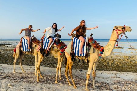 Camel & horse riding
