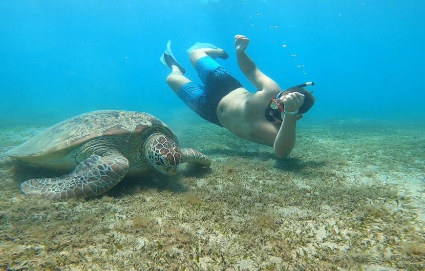 Marsa Mubarak- Shuna Bay From Hurghada