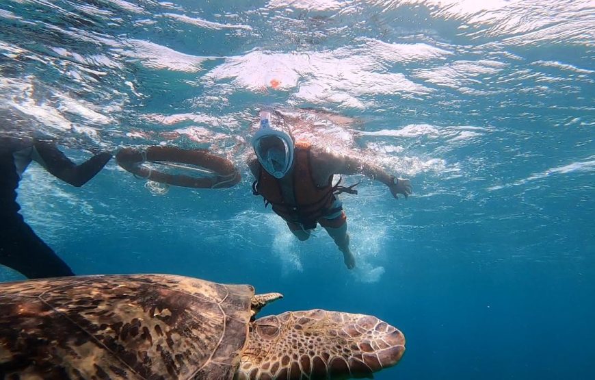 Marsa Mubarak- Shuna Bay From Hurghada