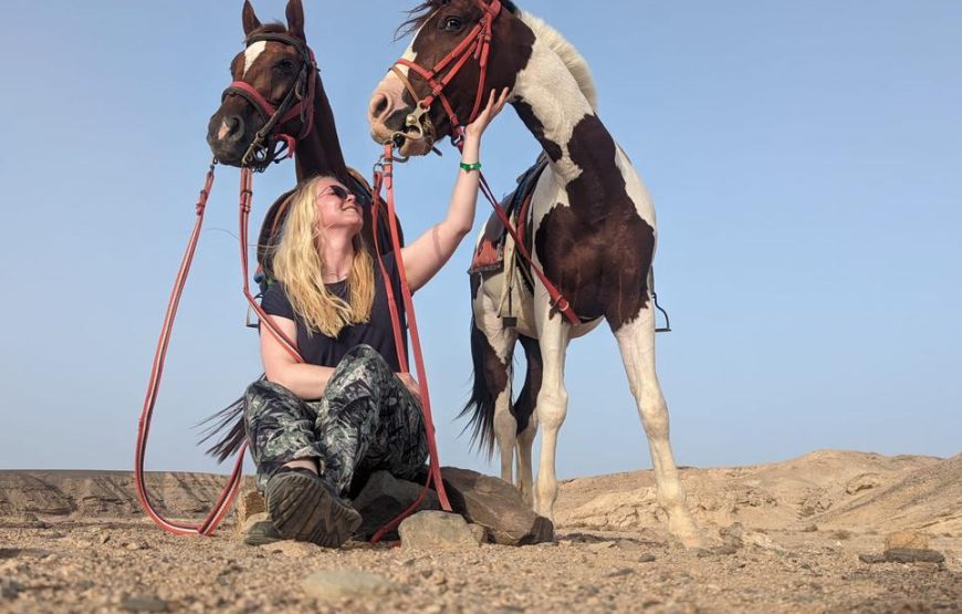 Camel & horse riding