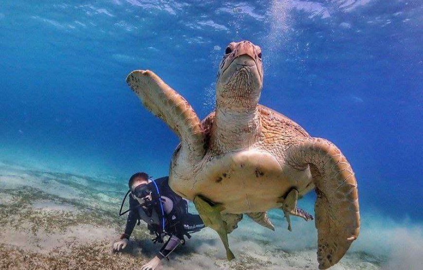 Marsa Mubarak- Shuna Bay From Hurghada