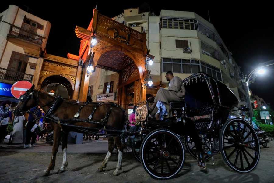 LUXOR BY NIGHT PRIVATE TOUR BY HORSE CARRIAGE RIDE AND FREE WALKING